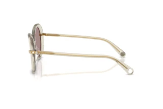Seitenansicht Swarovski SK6059 (3003LA)