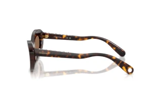 Vista laterale Swarovski SK6061U (100273)