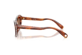 Vue latérale Swarovski SK6061U (109173)