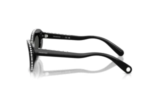 Seitenansicht Swarovski SK6061U (109387)
