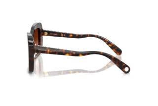 Seitenansicht Swarovski SK6062U (100274)