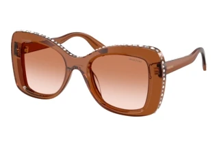 Vue de face Swarovski SK6062U (109573)