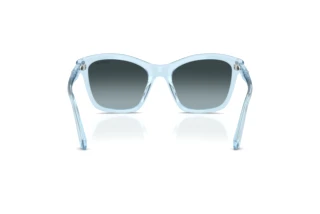 Vista posteriore Swarovski SK6063 (1078V1)