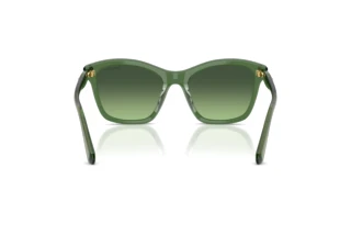 Rückansicht Swarovski SK6063 (10852A)