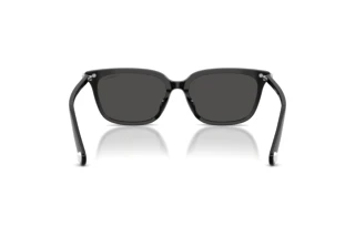 Vista posteriore Swarovski SK6064D (103887)