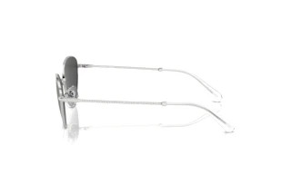 Vue latérale Swarovski SK7014 (400187)