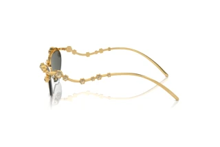 Seitenansicht Swarovski SK7016 (40047P)