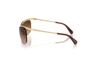 Vue latérale Swarovski SK7018 (400474)