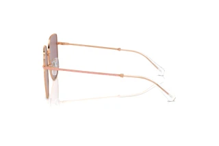 Seitenansicht Swarovski SK7021D (40147N)