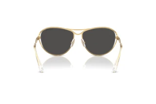 Vue arrière Swarovski SK7028 (400487)