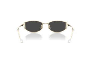 Vue arrière Swarovski SK7035D (401387)