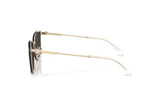 Vue latérale Swarovski SK7036D (401387)