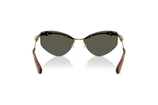 Vue arrière Swarovski SK7039 (40427P)