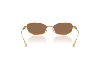 Vue arrière Swarovski SK7042 (403773)