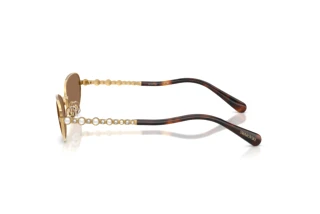Vue latérale Swarovski SK7044 (400473)