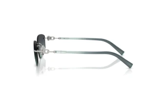 Vue latérale Tiffany TF3114 (60012G)