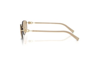 Vue latérale Tiffany TF3114 (602111)