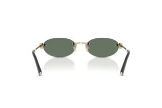 Vue arrière Tiffany TF3119D (623882)