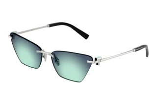 Vue de face Tiffany TF3120 (60019S)