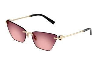 Vue de face Tiffany TF3120 (62428H)