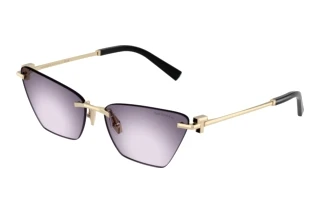 Vorderansicht Tiffany TF3120 (62438H)