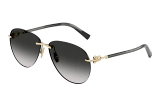 Vorderansicht Tiffany TF3124 (62413C)