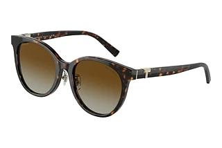 Tiffany TF4209D 8015T5 Polar Brown GradientHavana