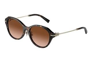 Tiffany TF4210D 80153B Brown GradientHavana