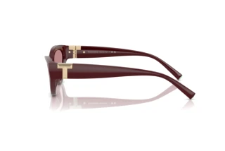Vue latérale Tiffany TF4225U (838930)