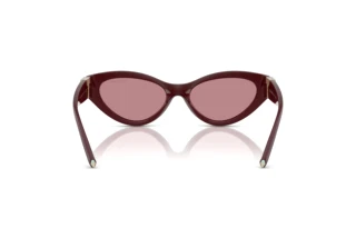 Vue arrière Tiffany TF4225U (838930)