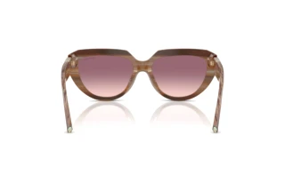 Vue arrière Tiffany TF4238U (84358D)