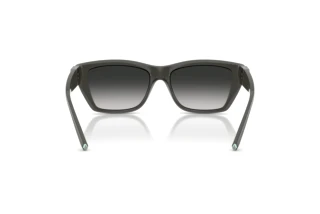 Vista posteriore Tiffany TF4255U (84463C)