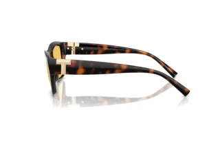 Vue latérale Tiffany TF4255U (845685)