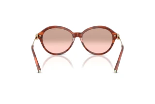 Vue arrière Tiffany TF4259 (84407E)