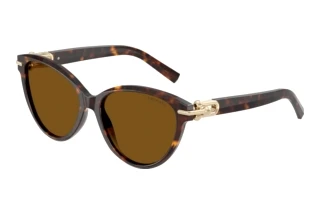 Vue de face Tiffany TF4261 (801583)