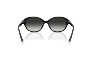 Vue arrière Tiffany TF4263D (80013C)