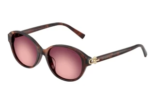 Vue de face Tiffany TF4263D (84218H)