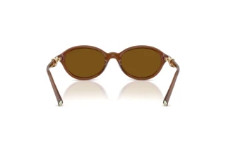 Vue arrière Tiffany TF4266U (847183)