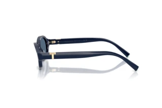 Vue latérale Tiffany TF4270U (839680)