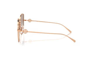 Vista laterale Tory Burch TY6106D (335313)
