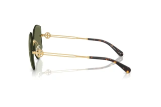Seitenansicht Tory Burch TY6111 (334371)
