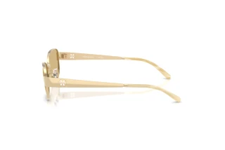 Seitenansicht Tory Burch TY6119 (336285)