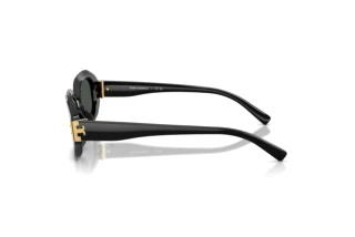 Vista laterale Tory Burch TY7234U (170987)