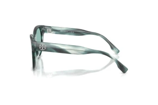 Seitenansicht Tory Burch TY7236U (206882)