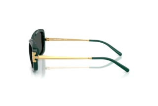 Vue latérale Tory Burch TY9077U (205387)