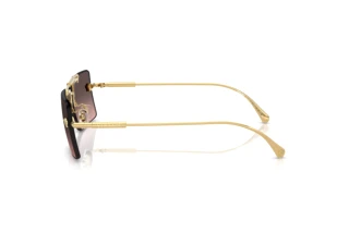 Seitenansicht Versace VE2245 (100258)