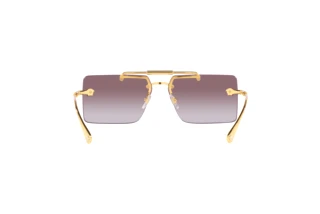 Vue arrière Versace VE2251 (147073)