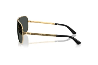 Seitenansicht Versace VE2293 (100287)
