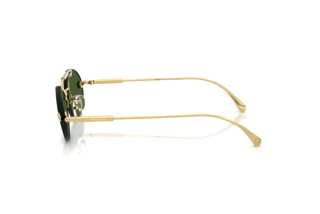 Vue latérale Versace VE2295 (100271)