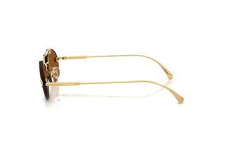 Vue latérale Versace VE2295 (100273)